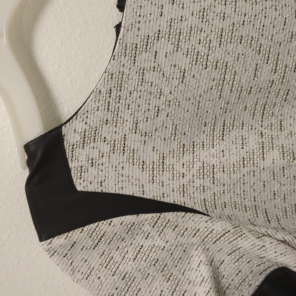 the Ricochet Klee Dress - Full Rear Zip - Flirty & Work Appropriate - Academia - Picture 5 of 16